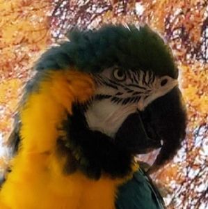 Meet your Posher, Nine